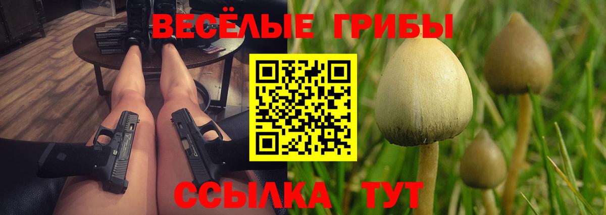 Псилоцибиновые грибы Psilocybine cubensis Братск